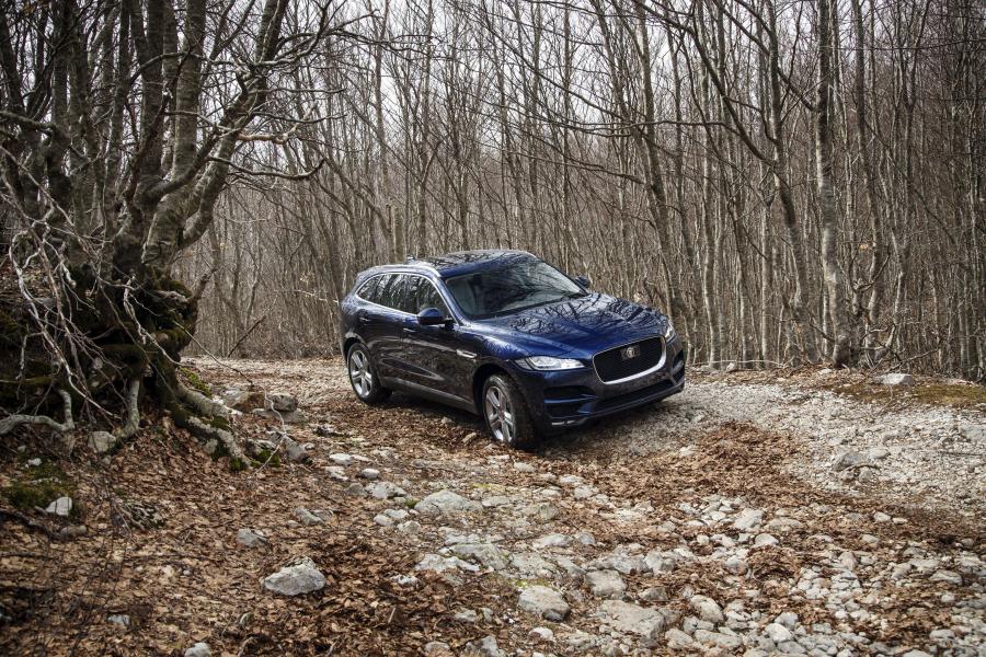  Jaguar F-Pace Portfolio 2016 года  (фото 28 из 31)